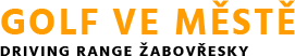 Driving Range logo