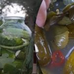Co dát do okurek: recept na okurky z babiččiny vany
