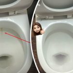 Jediný přípravek vybělí vaši záchodovou mísu do zářivého lesku: jak