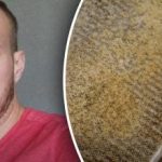Tajemství čistoty: jak vyčistit kuchyňské digestoře od mastnoty