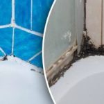 Vana se stává živnou půdou pro plísně: jedna chyba vede