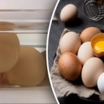 Jak zkontrolovat čerstvost vajec za 5 sekund: nejrychlejší a nejjednodušší