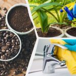 Nevyhazujte kávovou sedlinu: 7 možností využití pro vaši domácí a