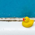 Žádné houby, žádné plísně, žádná plíseň, žádná zatuchlina: tipy, jak