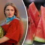 Jak vybrat dokonalý meloun během pěti sekund – čtyři spolehlivá