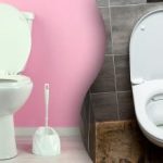 Záchodová mísa se leskne během několika minut: velmi snadný a